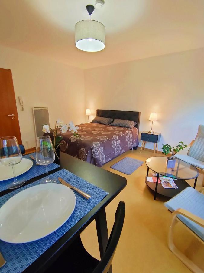 Lumineux Appartement Free Parking Nature Ville Tt Equipe Thann Exterior photo
