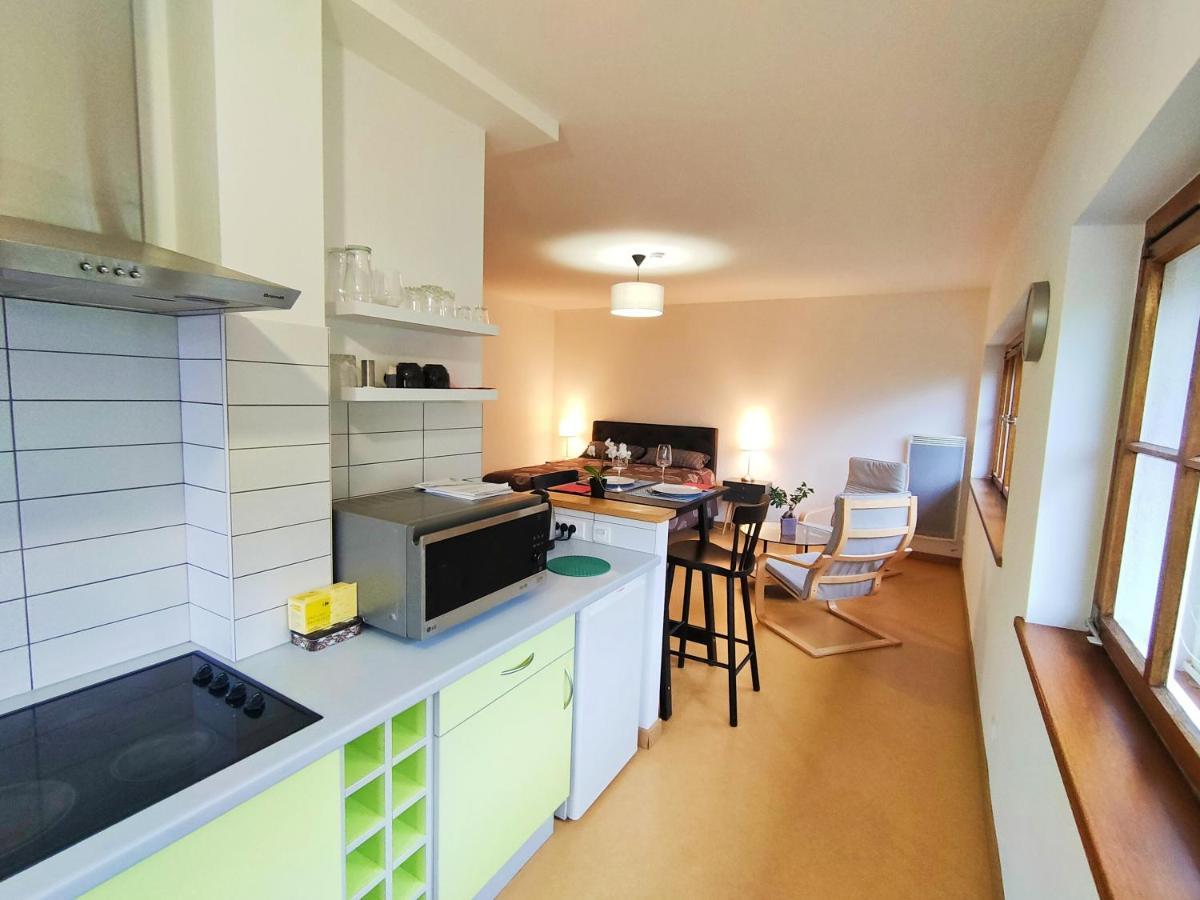 Lumineux Appartement Free Parking Nature Ville Tt Equipe Thann Exterior photo